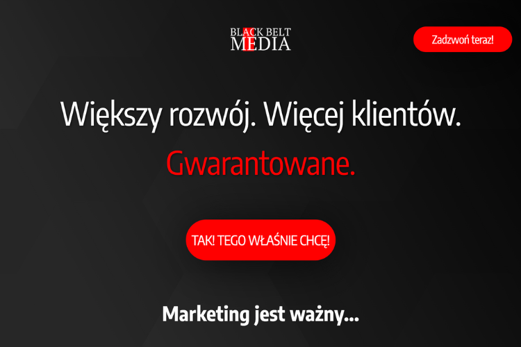 stworzenie strony internetowej, wykonanie strony internetowej, projektowanie stron internetowych, firmy tworzące strony internetowe, strony www dla firm